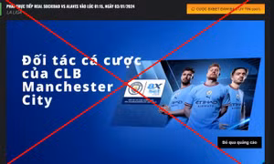 Công bố 403 website vi phạm pháp luật, đề nghị không quảng cáo
