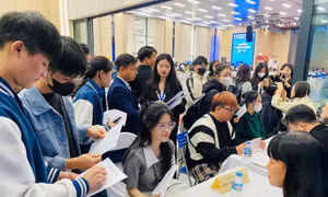 Hơn 4.200 chỉ tiêu tuyển dụng dành cho thanh niên, sinh viên năm cuối