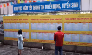 Kết nối phiên giao dịch việc làm trực tuyến 10 tỉnh phía Bắc