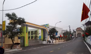 Thu nhập khu vực nông thôn Hà Nội năm 2021 đạt hơn 54 triệu đồng/người