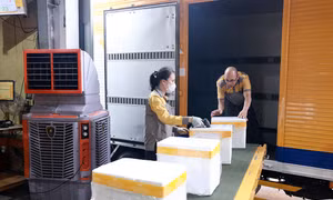 Bưu điện Việt Nam thiết kế luồng riêng vận chuyển mẫu sinh phẩm ADN 