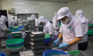 Lấy ý kiến về lương tối thiểu vùng tăng từ 150.000-240.000 đồng/tháng