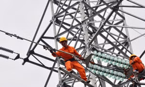 Những 'nốt nhạc màu cam' trên 'khuông nhạc' cao thế