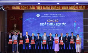 Thành lập Trung tâm quốc gia hỗ trợ sản xuất thử chip bán dẫn