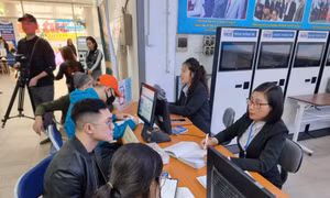 Kết nối và mở rộng cơ hội việc làm cho người khuyết tật