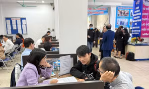Một số vị trí được quản lý người nước ngoài phỏng vấn trực tiếp.