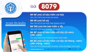 Tra thông tin về bảo hiểm xã hội, bảo hiểm y tế qua tin nhắn