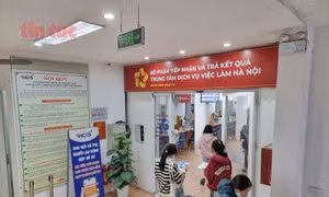 Không thông báo tìm kiếm việc làm có thể bị chấm dứt hưởng trợ cấp thất nghiệp