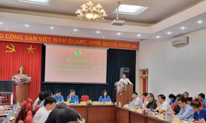 Công tác nhân sự chuẩn bị cho Đại hội VI Công đoàn Viên chức Việt Nam