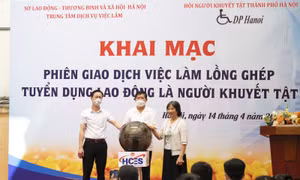 Kết nối việc làm cho người khuyết tật