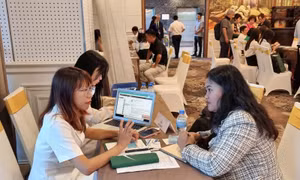 Chương trình khảo sát, giới thiệu các điểm đến mới của Việt Nam