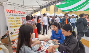 Cơ hội việc làm cho sinh viên trong thời đại trí tuệ nhân tạo