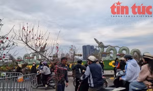 Chợ hoa Tây Hồ nhộn nhịp người mua