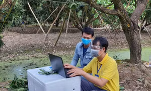 Hỗ trợ tiêu thụ nông sản qua gian hàng số