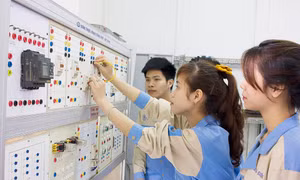 Lựa chọn ngành nghề nào để học xong có việc làm ngay?