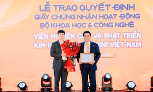 Kiểm định theo tiêu chuẩn quốc tế kim hoàn, đá quý Việt Nam