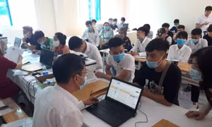 Ngày Xuân và câu chuyện hướng nghiệp, chọn nghề