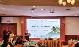 Mở hướng khai thác du lịch thám hiểm hang động Công viên địa chất Lạng Sơn