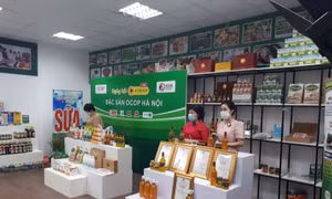 Hà Nội sẽ tổ chức ngày hội livestream đặc sản OCOP lần 2