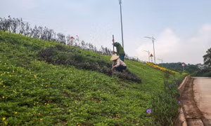 Song Phượng phát huy truyền thống cách mạng xây dựng nông thôn mới kiểu mẫu