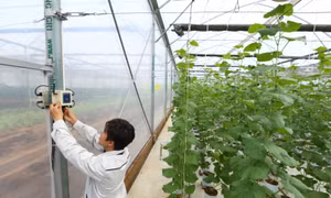 Doanh nghiệp ‘liệu cơm gắp mắm’ để chuyển đổi số