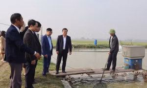 Hà Nội: Huyện Ba Vì đạt chuẩn nông thôn mới
