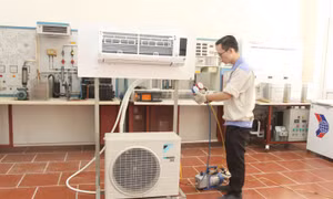 Định hướng học nghề để dễ có việc làm ngày càng rõ nét