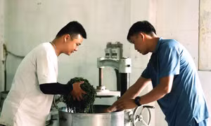 Mạch dẫn đưa khoa học công nghệ vào cuộc sống