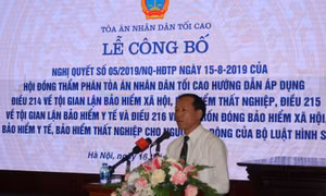 Hướng dẫn xử lý tội danh trốn đóng, gian lận BHXH, BHYT, BHTN