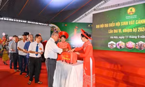Cộng đồng nghệ nhân, doanh nhân, chủ nhà vườn tham dự Festival Sinh vật cảnh Hà Nội 2024 quyên góp ủng hộ quỹ phòng chống lụt bão