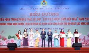Biểu dương điển hình phong trào ‘Giỏi việc nước, đảm việc nhà’
