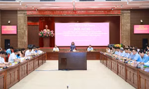 Ưu tiên dành nguồn lực bảo đảm hoàn thành các tiêu chí xây dựng nông thôn mới
