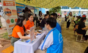 Lĩnh vực thương mại dịch vụ gia tăng tuyển dụng lao động dịp cuối năm