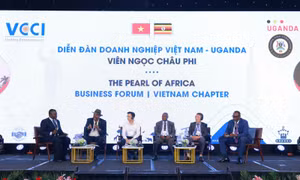 Kết nối doanh nghiệp Việt Nam - Uganda hợp tác đầu tư, chuyển giao công nghệ