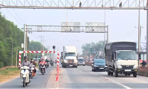 Ứng dụng công nghệ AI theo từng ngành, lĩnh vực