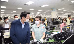 Không tăng lương tối thiểu năm 2021 để tạo điều kiện cho doanh nghiệp phục hồi