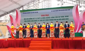 Hà Nội kết nối giao thương nông sản an toàn, sản phẩm OCOP, sinh vật cảnh