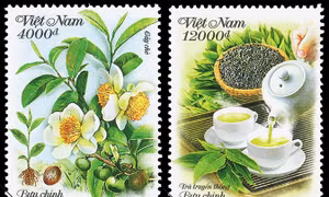 Giới thiệu bộ tem 'Cây chè' - quảng bá cây công nghiệp Việt Nam