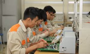 Mô hình '9+' để lập nghiệp sớm, cần sự 'giác ngộ' của phụ huynh