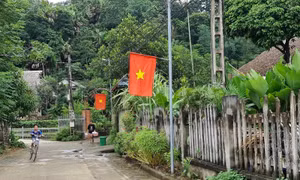 Bộ Nội vụ thống nhất phương án nghỉ Tết Nguyên đán 2024 kéo dài 7 ngày