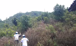 Kiến nghị Bộ VHTTDL hướng dẫn cụ thể về các điều kiện nhận gói hỗ trợ 26.000 tỷ đồng