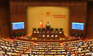 Luật Trí tuệ nhân tạo có hiệu lực từ ngày 1/3/2026