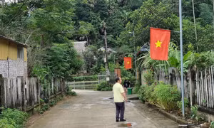 Bộ LĐTBXH thông báo chính thức lịch nghỉ tết Nguyên đán 2024 từ 29/12 Âm lịch