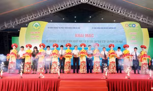 Cơ hội kết nối giao thương qua Hội chợ OCOP, nông sản an toàn tại huyện Chương Mỹ