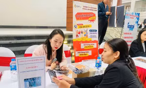 AI mở cơ hội mới, nhưng gia tăng áp lực việc làm tại Việt Nam