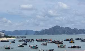 Kích cầu du lịch ‘Việt Nam - Đi để yêu’ – mang tới trải nghiệm mới lạ