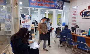 Khoảng 19.000 người lao động Hà Nội được giải quyết việc làm trong tháng 1/2025