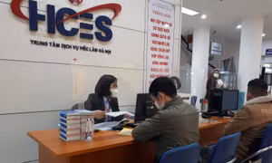 Sàn việc làm sôi động trở lại dịp cuối năm