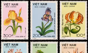 Giới thiệu bộ tem ‘Phượng tím’