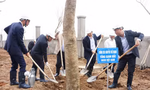 BHXH Việt Nam tổ chức ‘Tết trồng cây’ Xuân Tân Sửu năm 2021
